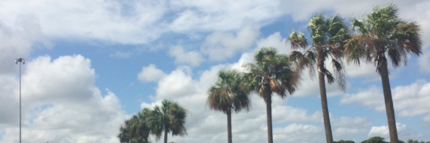 stevenhere10's profile banner image