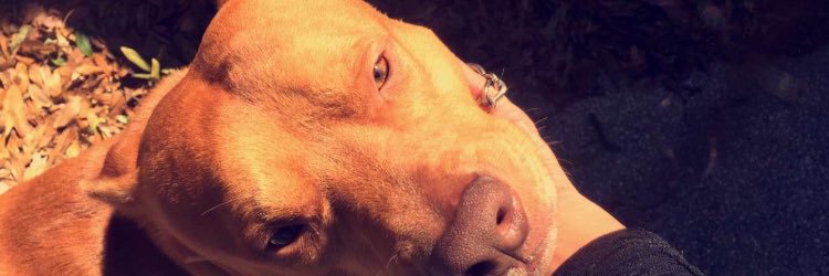 ceesxo's profile banner image