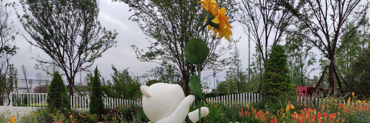 jbrjb's profile banner image