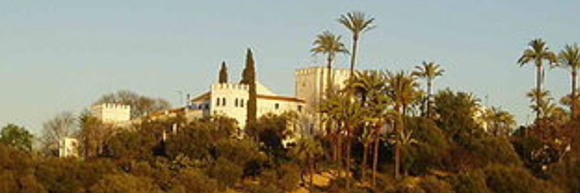 ciudadanonazare's profile banner image