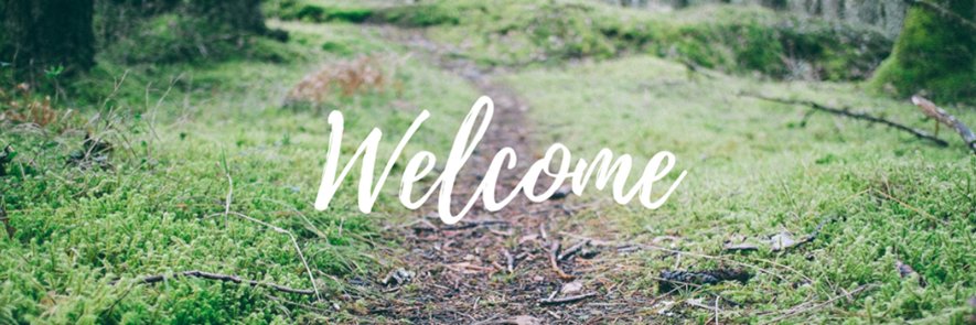 TwoSaintsChurch's profile banner image