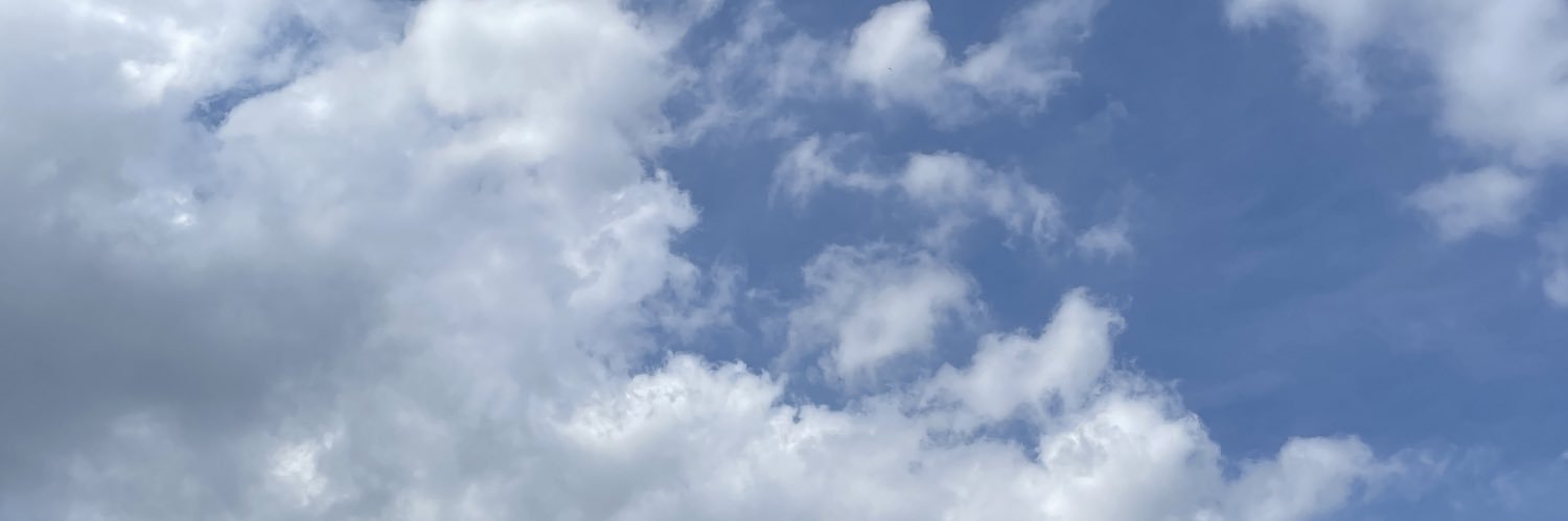 🌊 banner