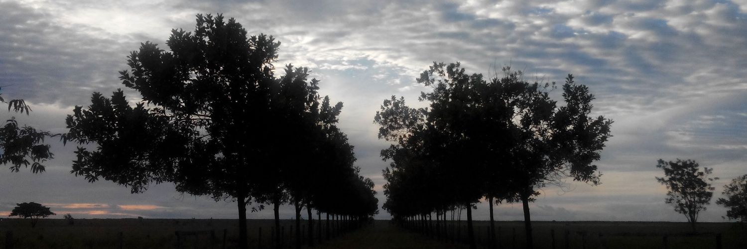 diegomonroy7911's profile banner image