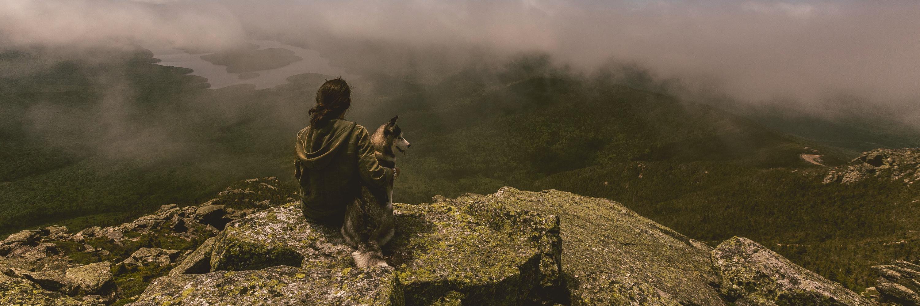 pryley's profile banner image