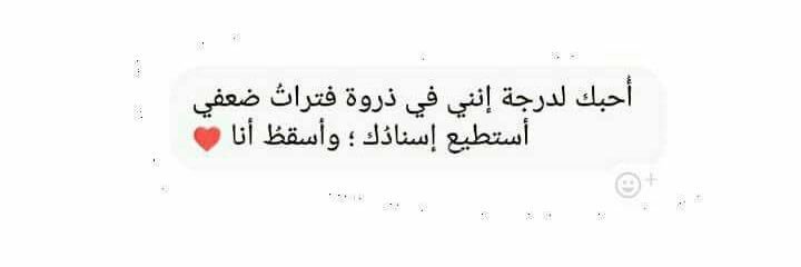 mohamed11246's profile banner image