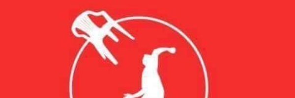 JayPaddy1984 Profile Banner