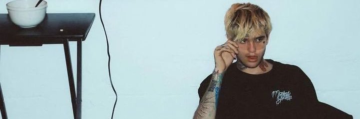 Martin🐥 banner