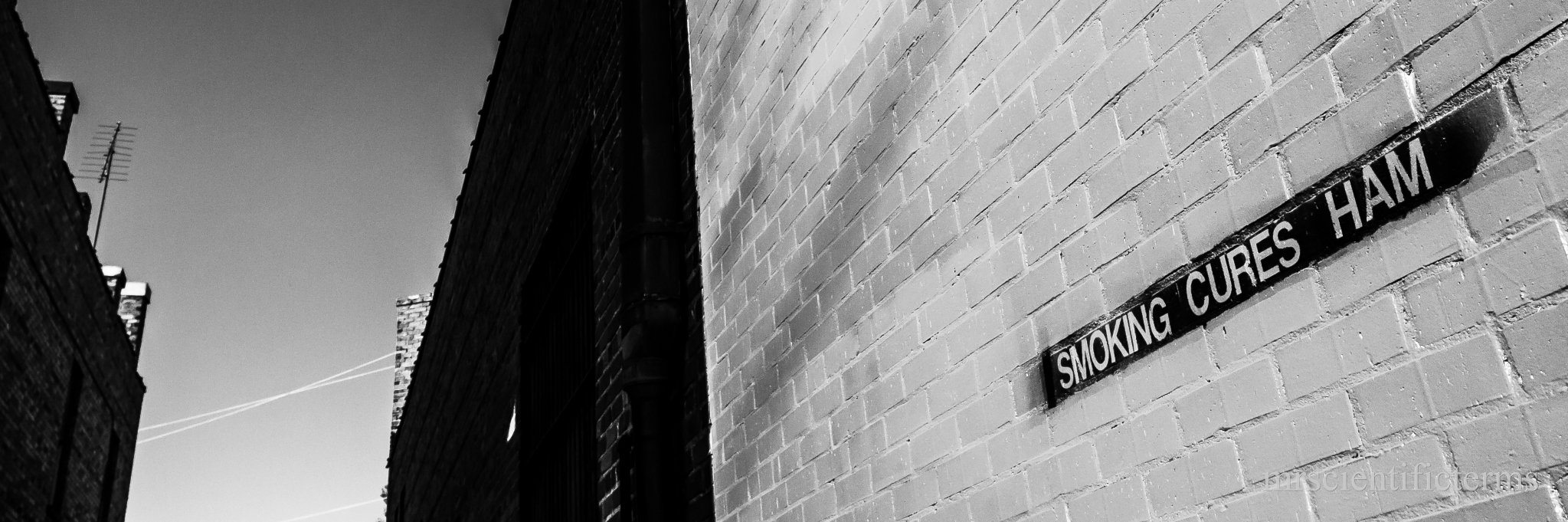 mstcreative's profile banner image