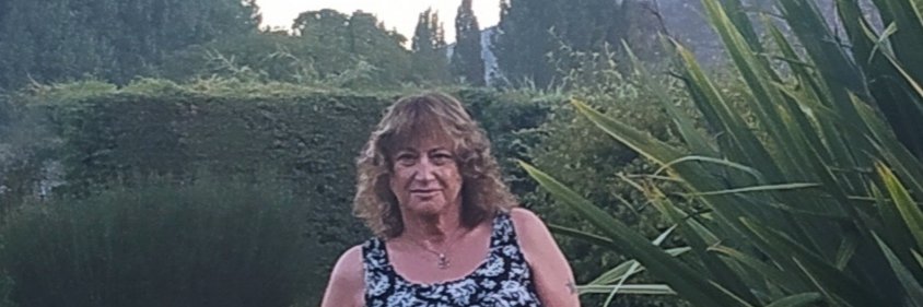 Silvia Elena Collazo banner