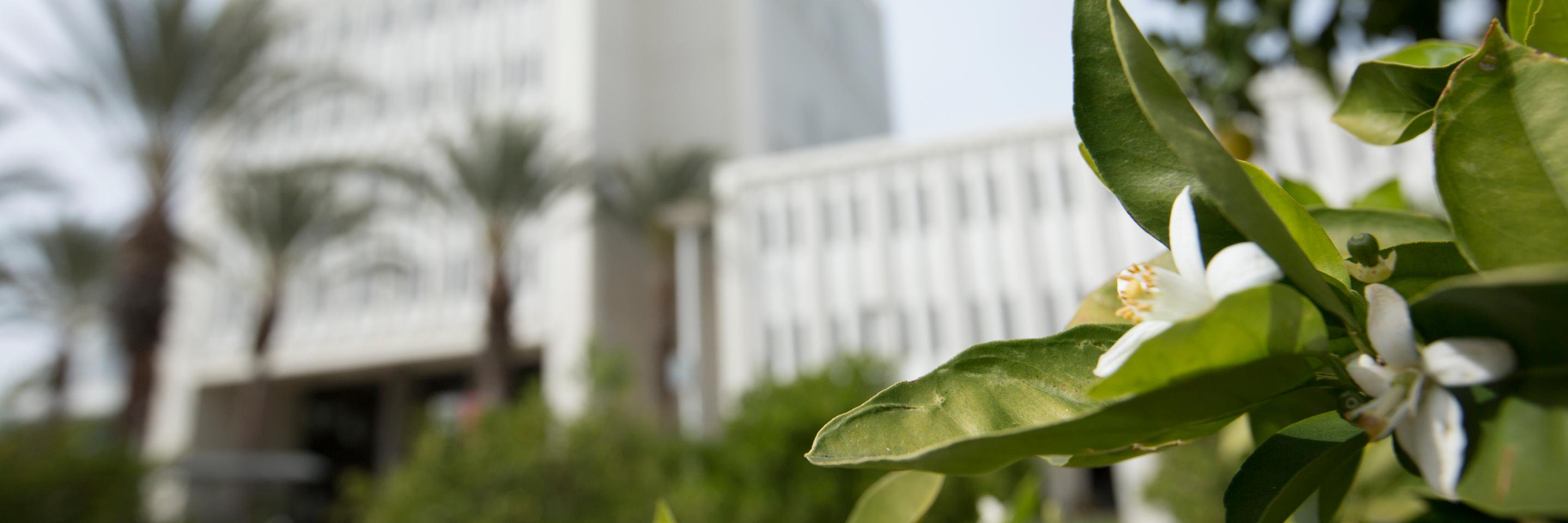 CSUF Student Affairs banner