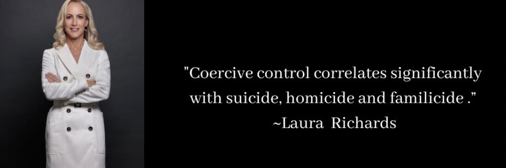 DASH Risk Model banner