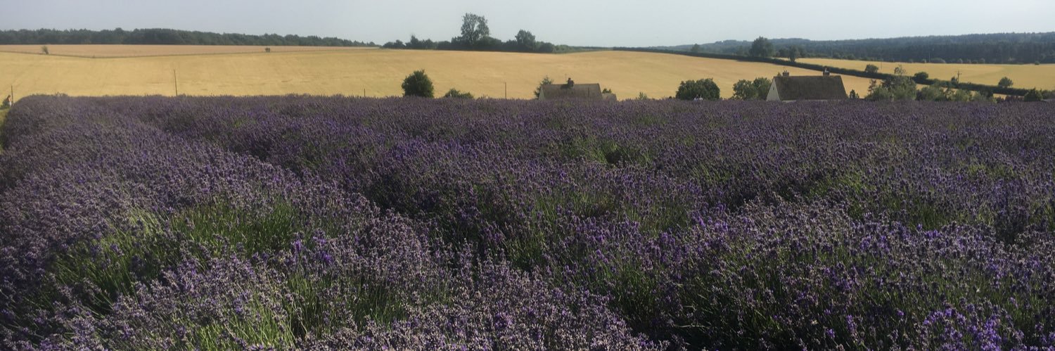 Susan Parsonage banner