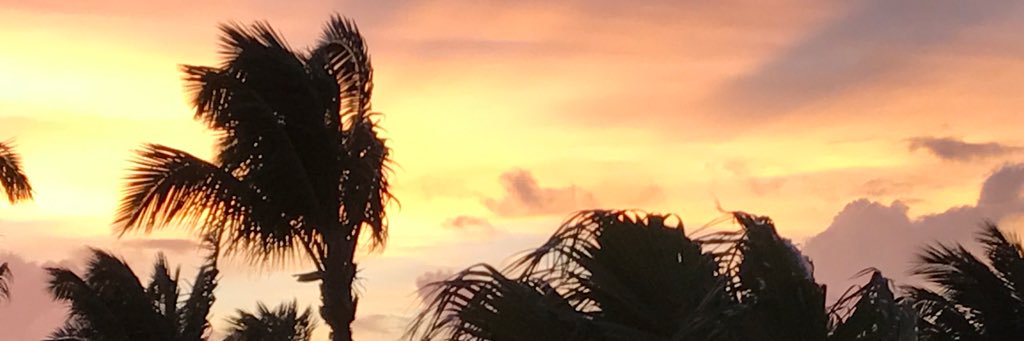 OscarLSmateos's profile banner image