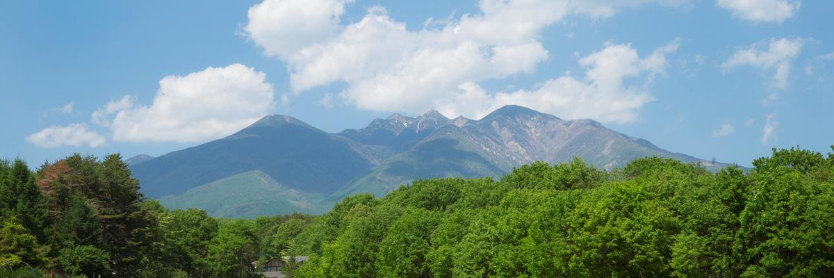 Risonare_y's profile banner image