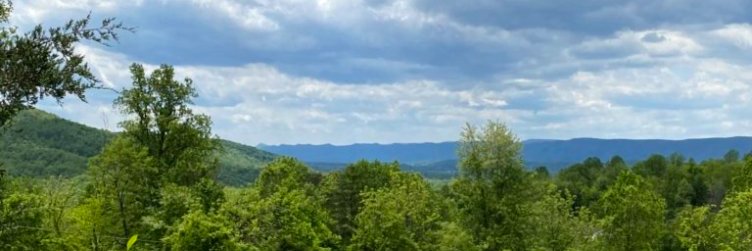 Christine Poe banner
