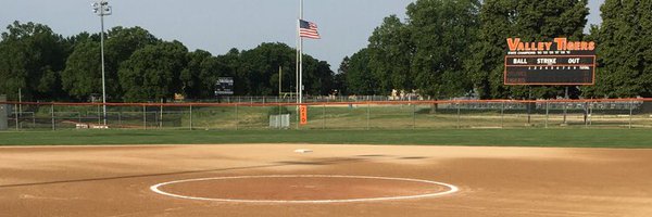 VHSTigerSB8 Profile Banner