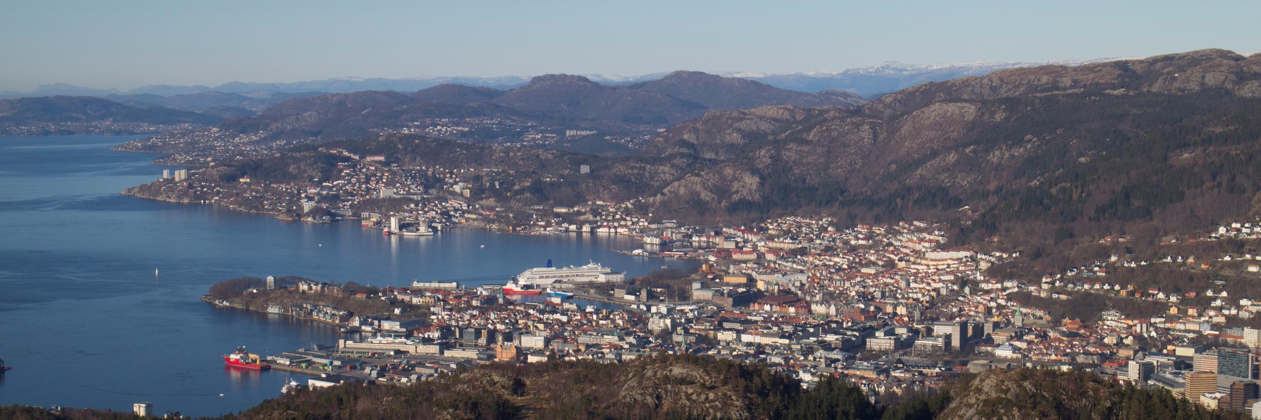 Thorkild Tylleskär banner