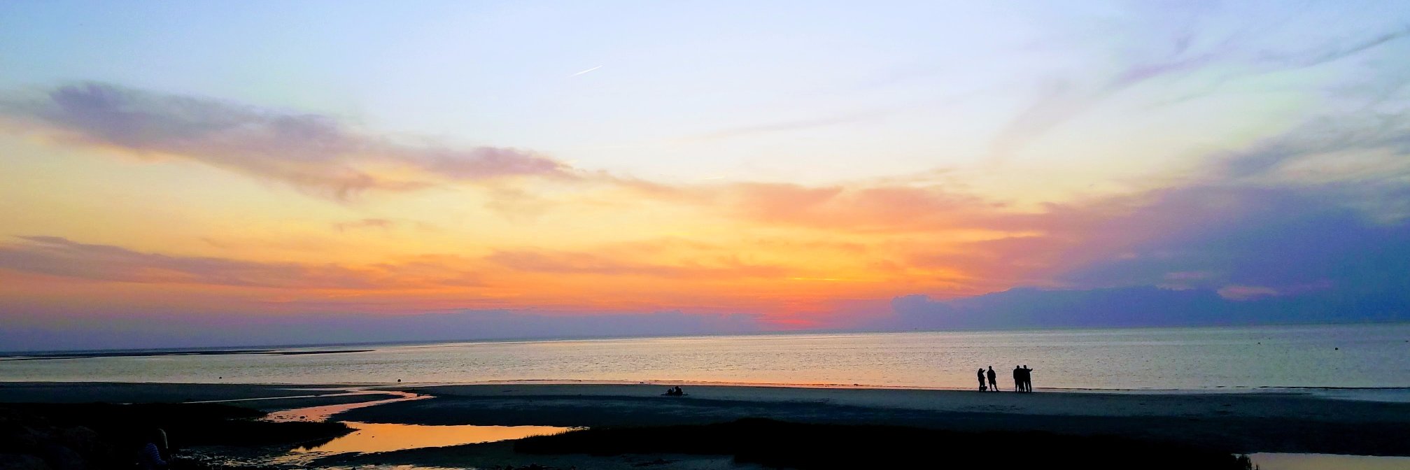 Peter Cruckshank banner