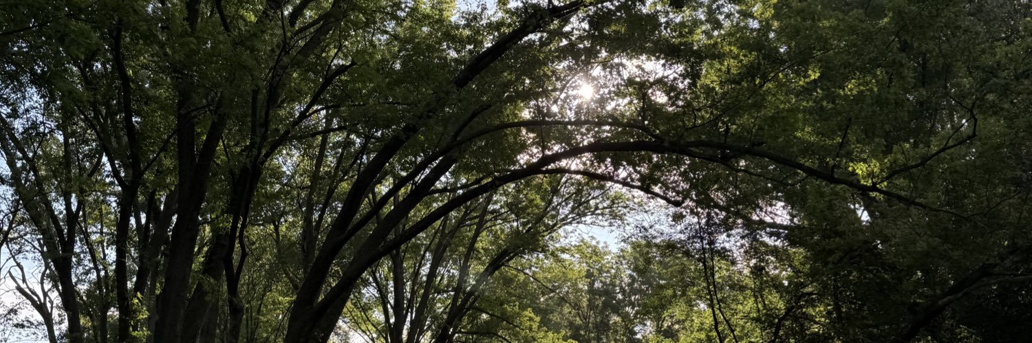 Bridget Stover banner