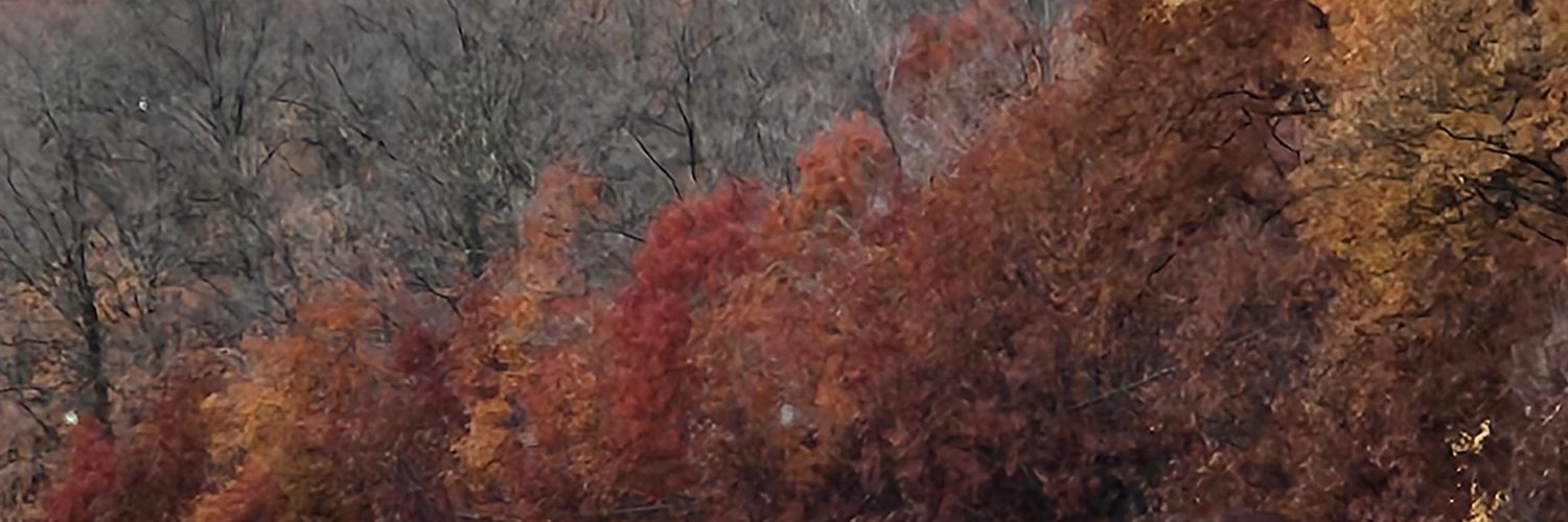 JustBria77's profile banner image