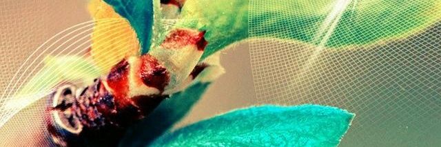 MoniVanegas's profile banner image