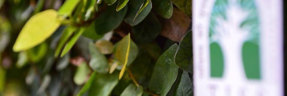 kushal_bhat's profile banner image
