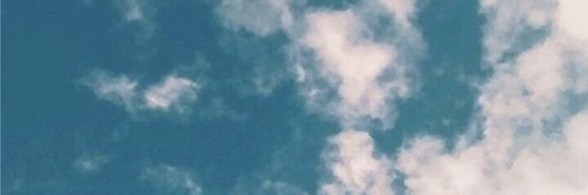 gracie banner