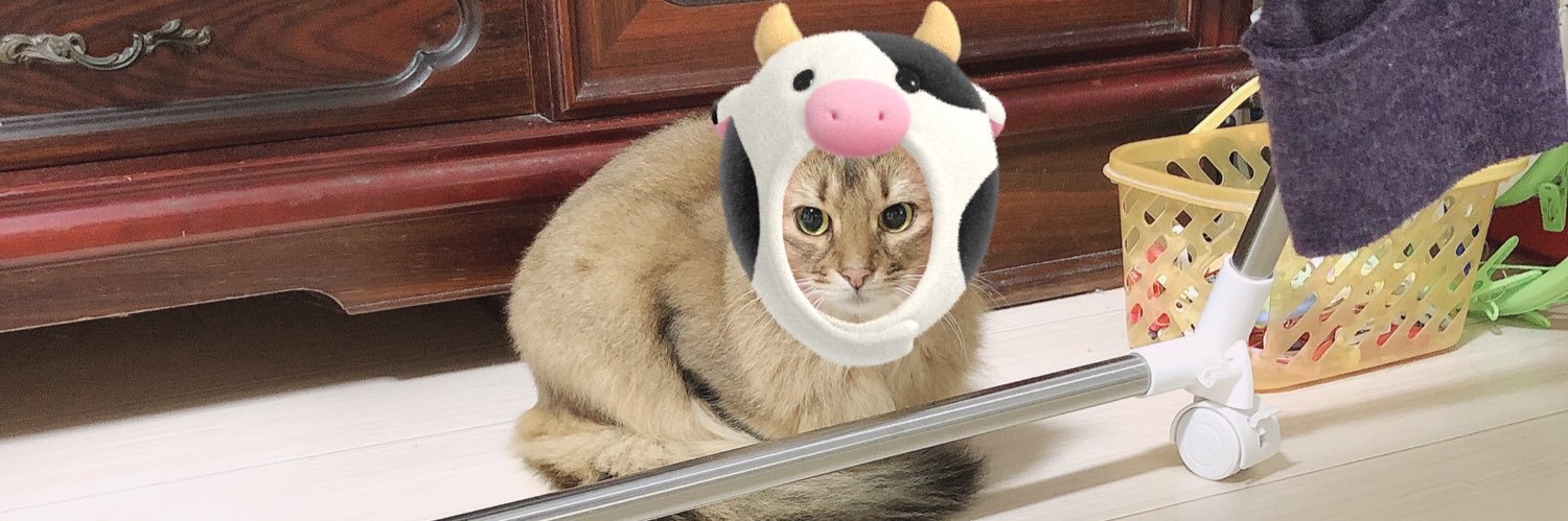 上花楓裏 ふうり 4/19🍚 banner