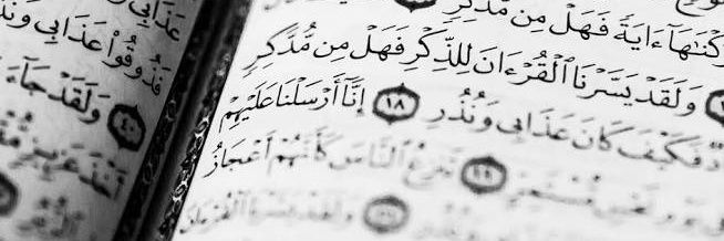tedebburulkuran's profile banner image