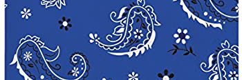 Prince_Flee's profile banner image