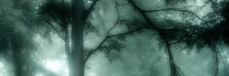 KerjoLohen's profile banner image