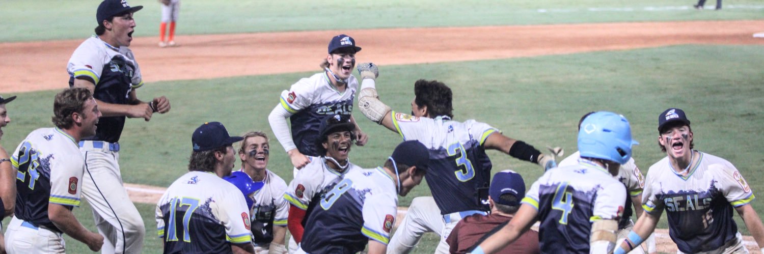 Chesapeake Post 280 SEALs banner