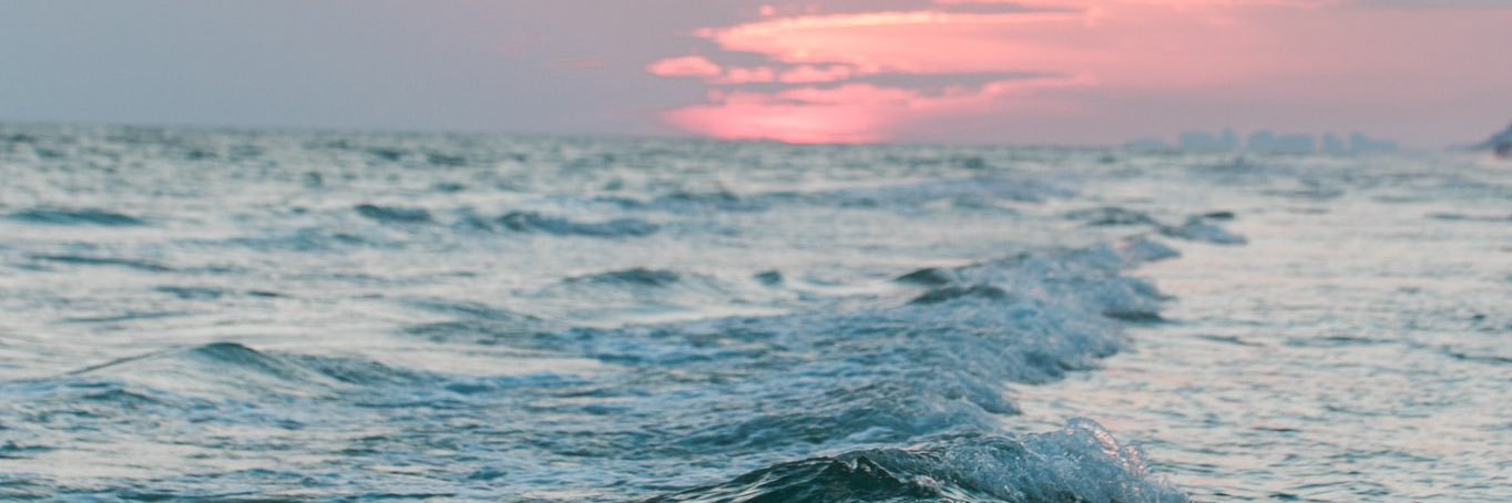pookanp's profile banner image