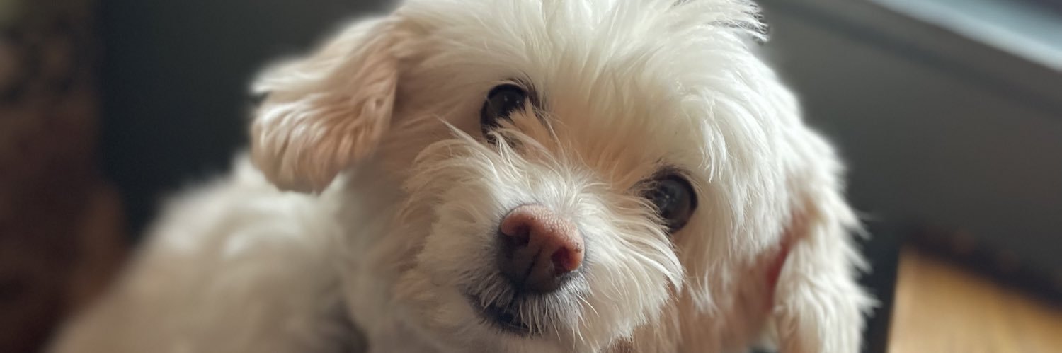 SandySunshine26's profile banner image