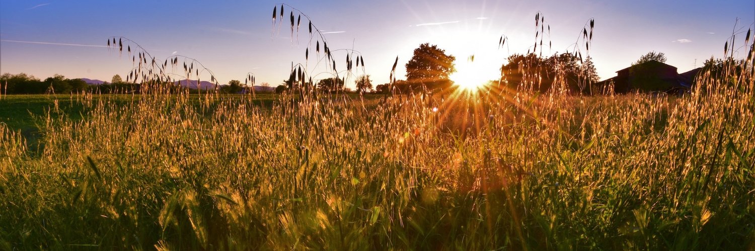 Carolyn Gjerde banner