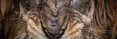 stickitmachine banner