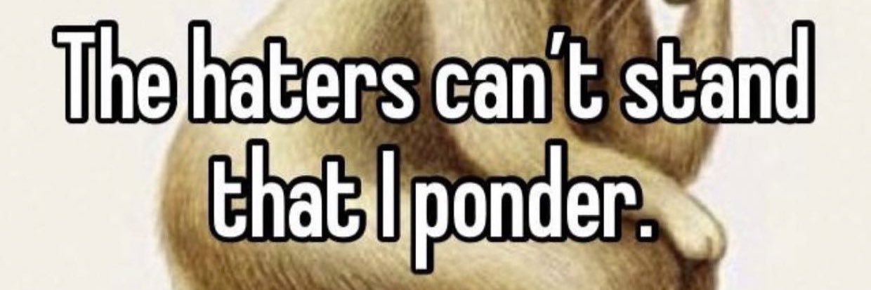 Professional Hater banner