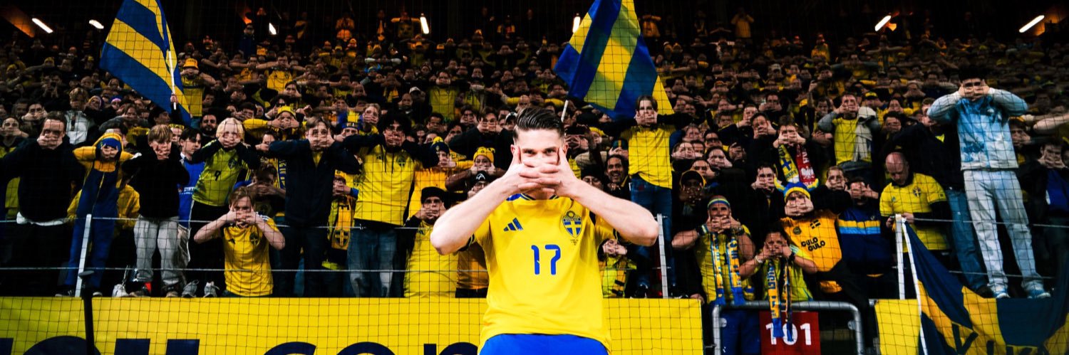 Rafin banner