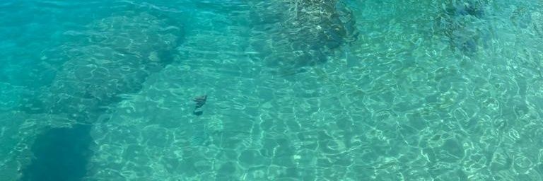 mgkoca's profile banner image