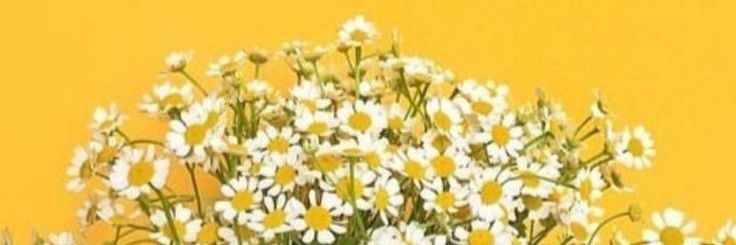 Puspaswari's profile banner image