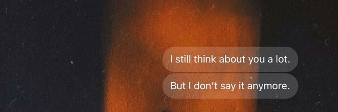 Arania ; 🦋 banner