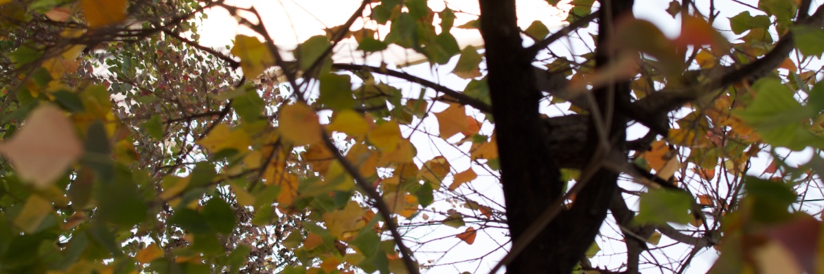 estefalejo's profile banner image