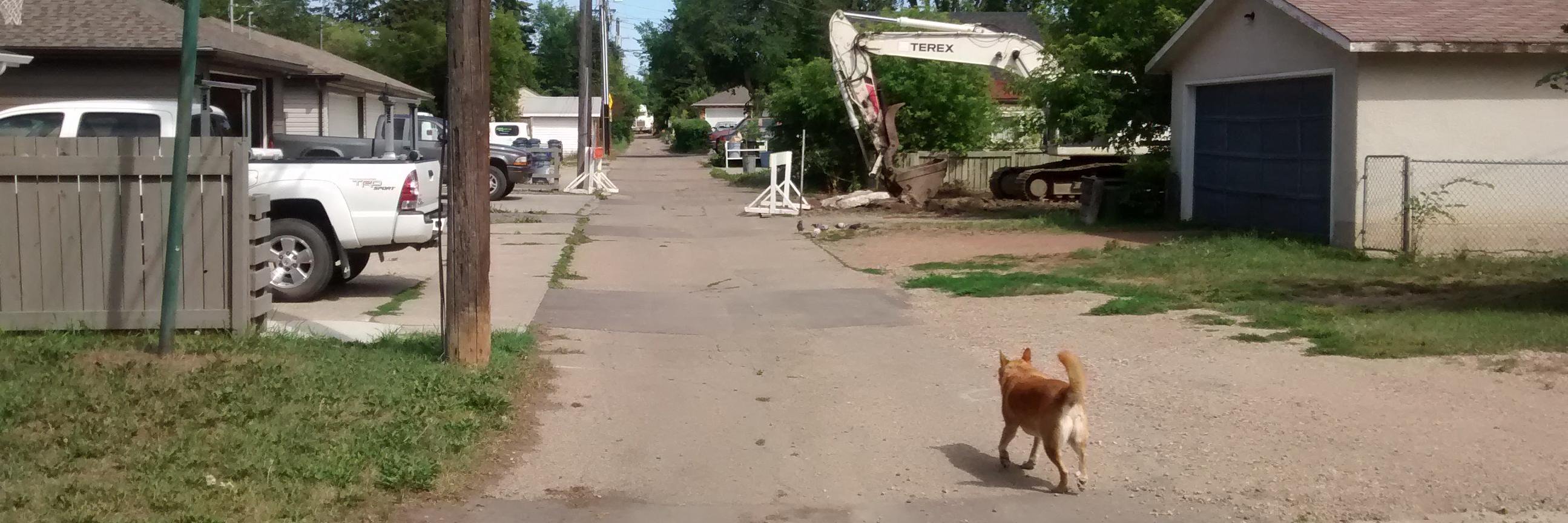Municipal House of Pancakes banner