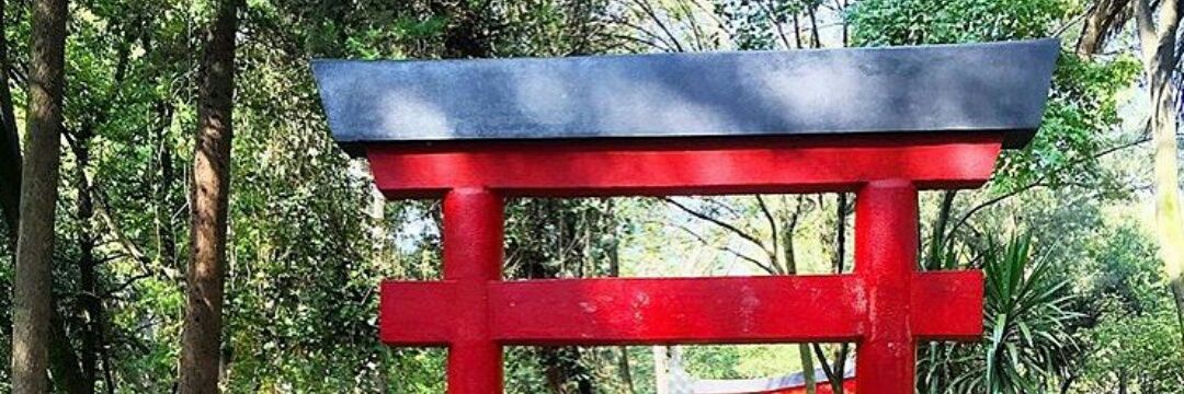 Toupak64's profile banner image