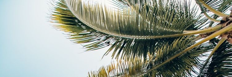 mariesweet__'s profile banner image
