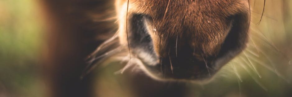 StrideHealthier's profile banner image