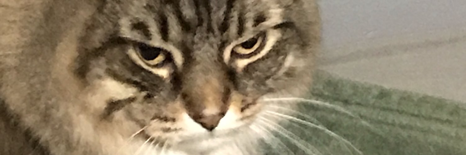 ___Mar__'s profile banner image