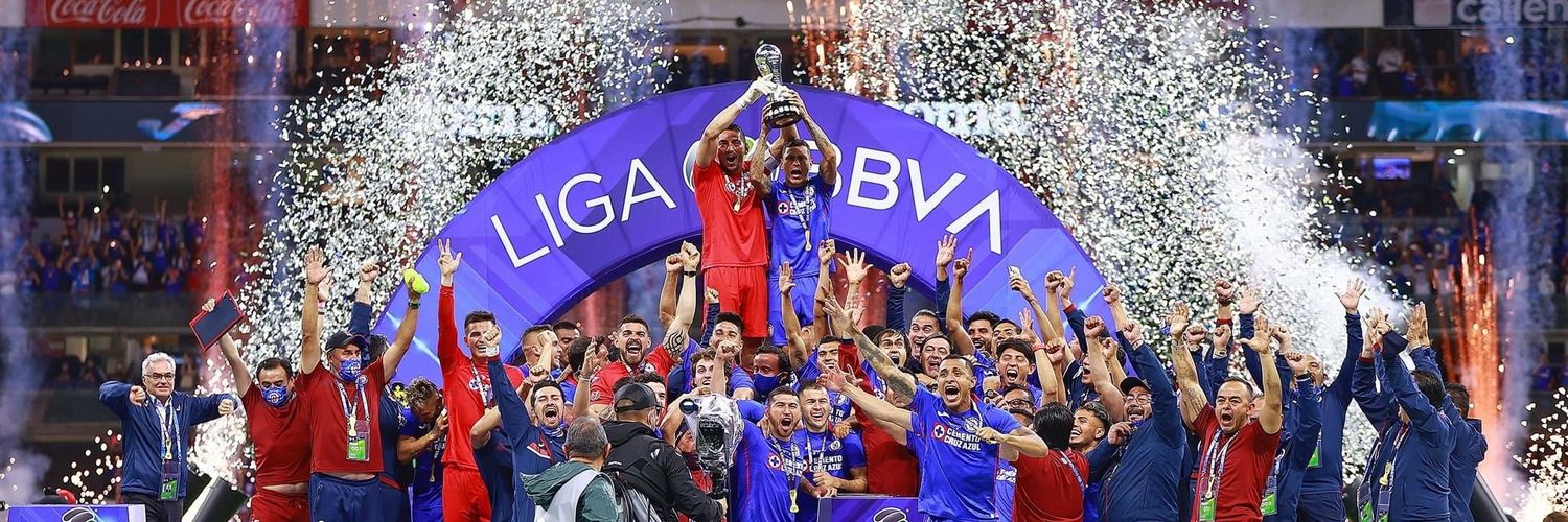 Club de la Pelea banner