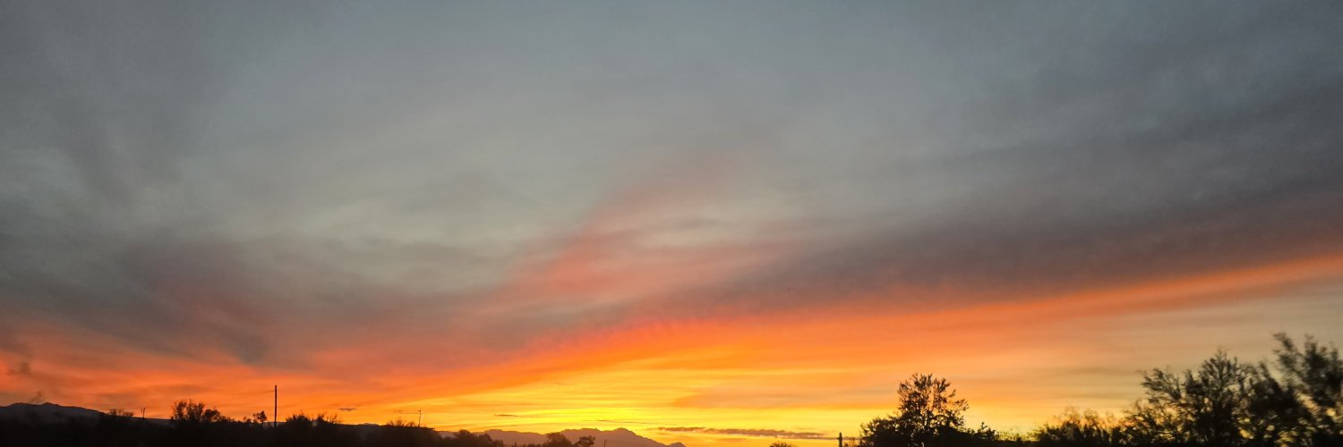 🇺🇲 Question Everything-AZ 🌵 banner