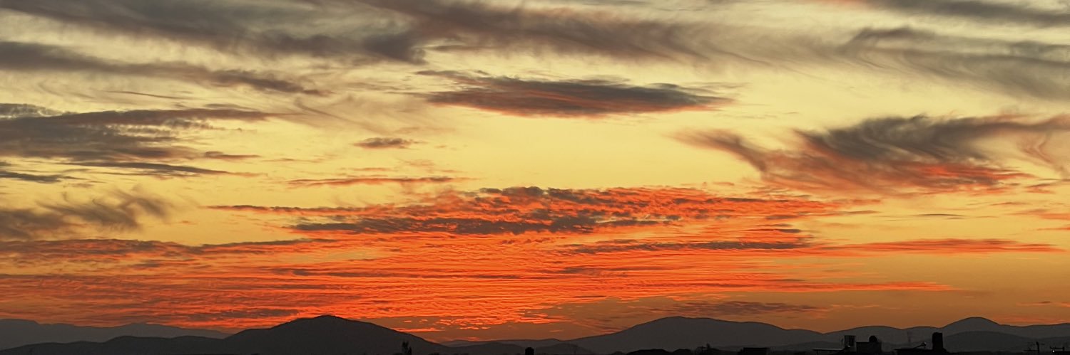 SofiMZD's profile banner image